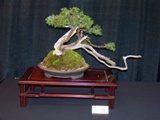 Annual Show 2011 - 20 2011
